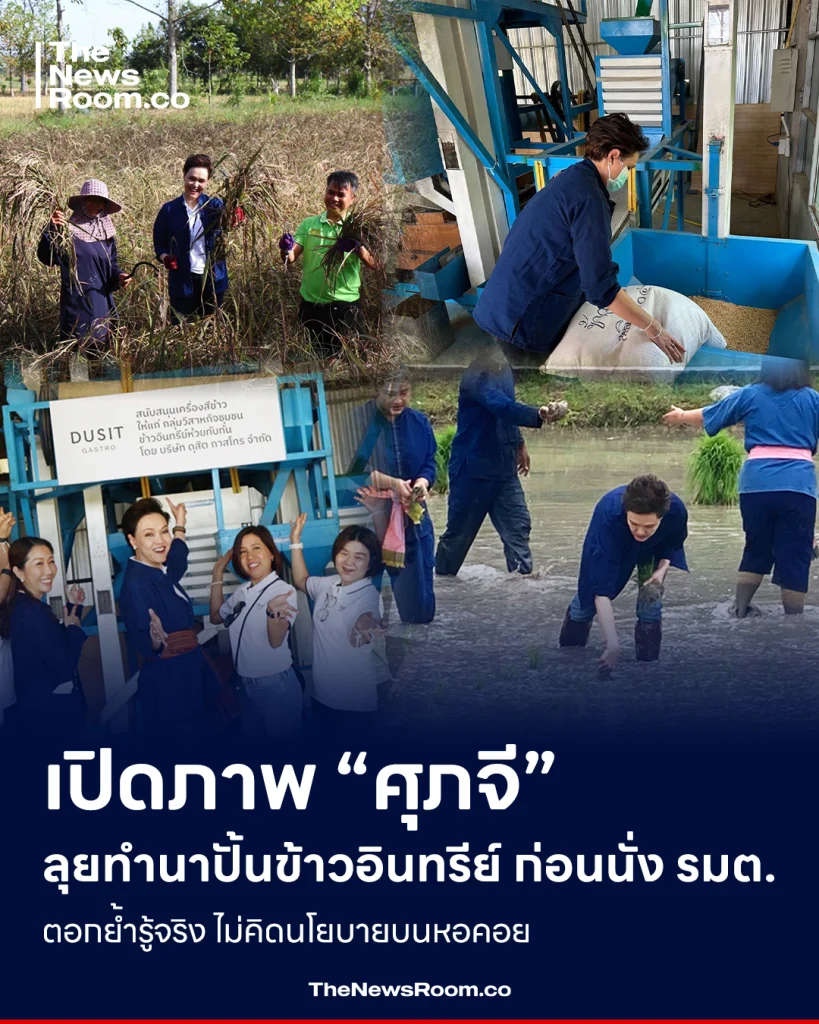 เปิดภาพ “ศุภจี” ลุยทำนาปั้นข้าวอินทรีย์ ก่อนนั่ง รมต. ตอกย้ำรู้จริง ไม่คิดนโยบายบนหอคอย