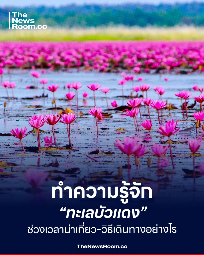 ทำความรู้จัก “ทะเลบัวแดง” ช่วงเวลาน่าเที่ยว-วิธีเดินทางอย่างไร