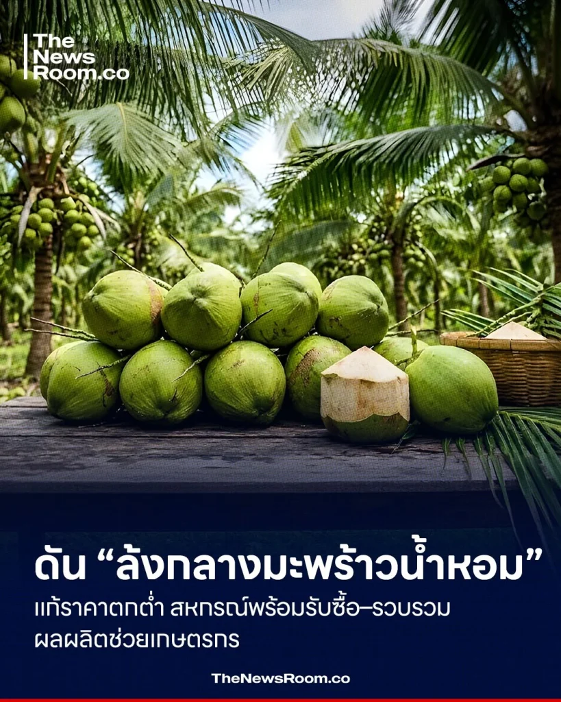 ดัน “ล้งกลางมะพร้าวน้ำหอม” แก้ราคาตกต่ำ โดยกรมส่งเสริมสหกรณ์ขานรับแนวคิดจัดตั้งล้งกลาง เพื่อสร้างความเป็นธรรมด้านราคา และช่วยเกษตรกรระบายผลผลิตได้มากขึ้น