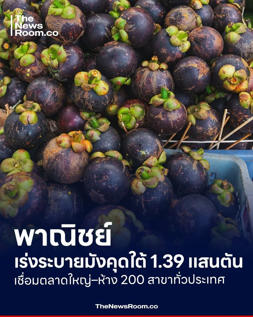 พาณิชย์เร่งระบายมังคุดใต้ 1.39 แสนตัน เชื่อมตลาดใหญ่–ห้าง 200 สาขาทั่วประเทศ