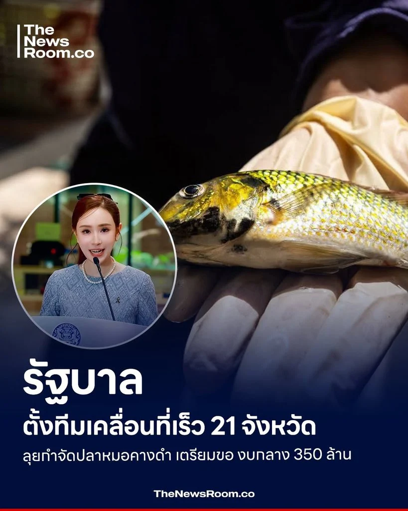 รัฐบาลตั้งทีมเคลื่อนที่เร็ว 21 จังหวัด ลุยกำจัดปลาหมอคางดำ เตรียมขอ งบกลาง 350 ล้าน