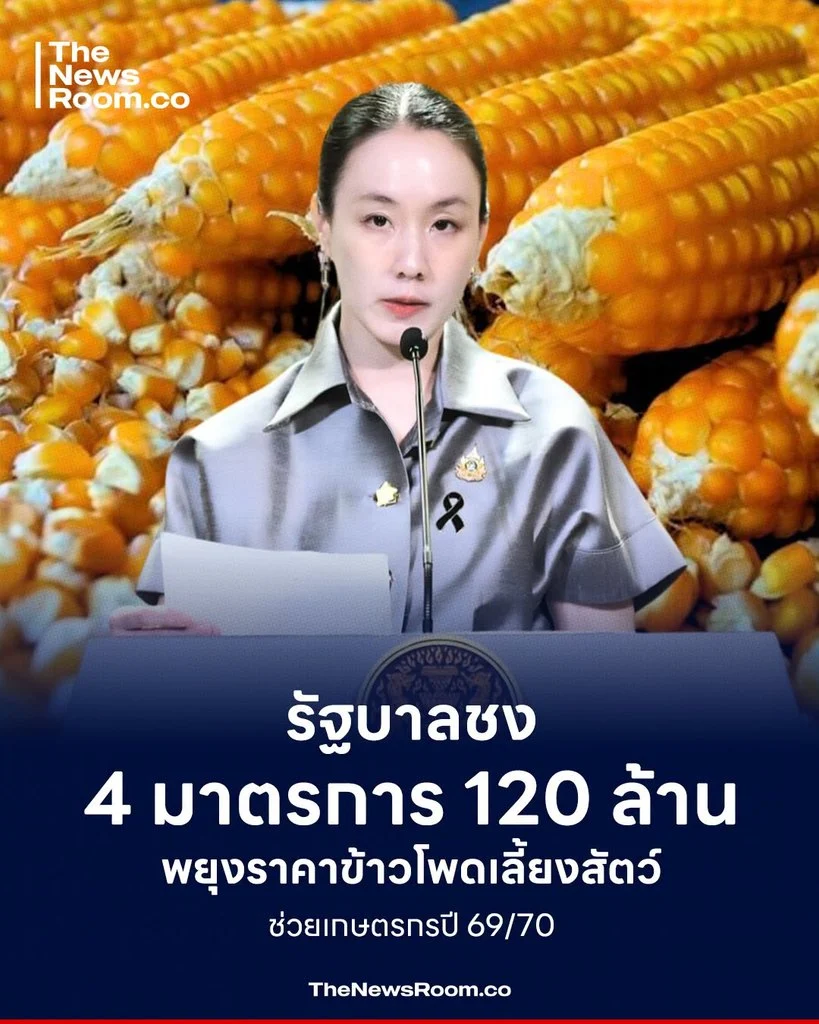 รัฐบาลชง 4 มาตรการ 120 ล้าน พยุงราคาข้าวโพดเลี้ยงสัตว์ ช่วยเกษตรกรปี 69/70